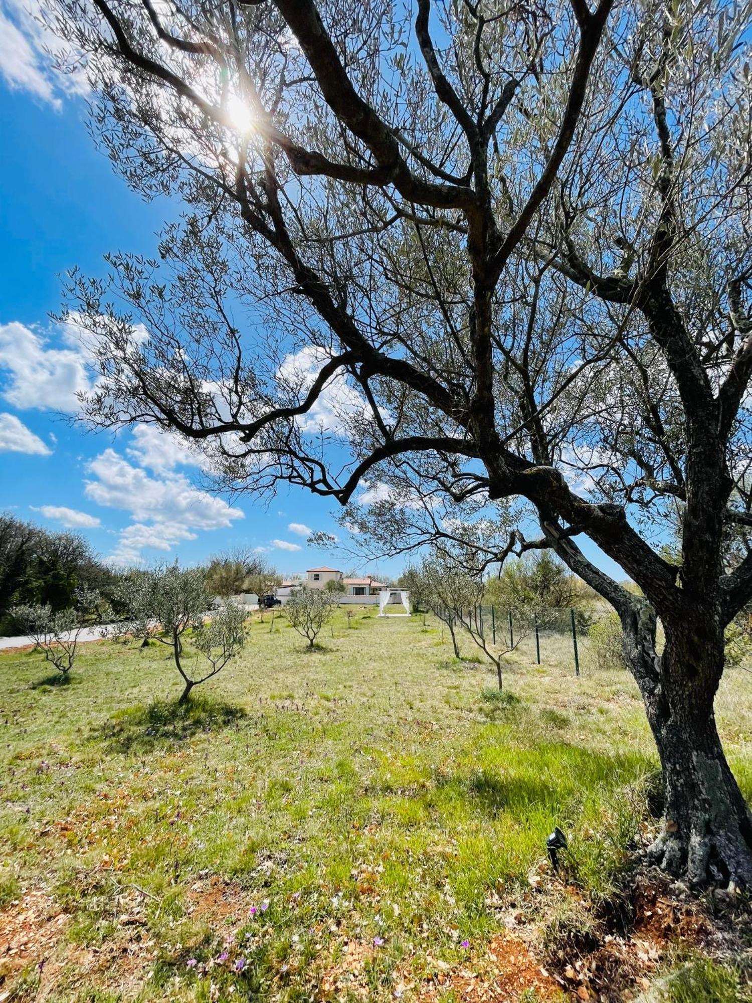 Luxury Villa In Istria - 9,000 Sqm Private Estate With Pool & Sauna, 15 Min To Sea, Near Fazana, 3 Bedrooms Juršići Exterior foto